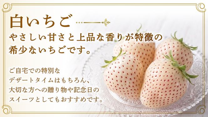 【桐箱入り】白いちご 9～15粒 【2027年1月から発送開始】（茨城県共通返礼品 [いちご]：城里町産） いちご イチゴ 苺 白いちご 白 希少 高級 国産 桐箱入り 贈答 贈り物 ギフト ふるさと納税