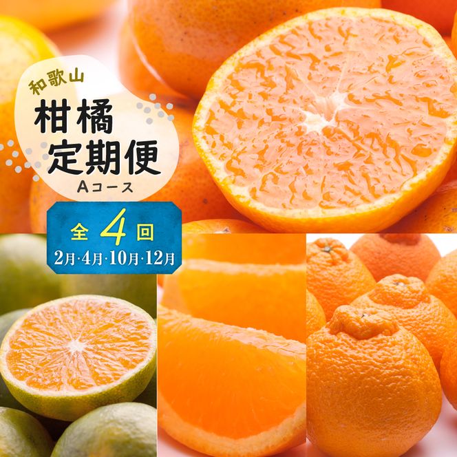 季節の柑橘定期便A【偶数月・全4回】【和歌山県有田】_ZH7020