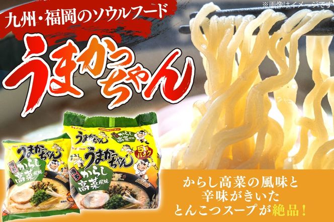 インスタントラーメン うまかっちゃん からし高菜風味 5食パック 6ケース 計 30食 [地域商社ふるさぽ 福岡県 宇美町 um40bfw220001] からし 高菜 ラーメン 博多ラーメン インスタント とんこつ 即席ラーメン 袋麺 まとめ買い ラーメン詰め合わせ