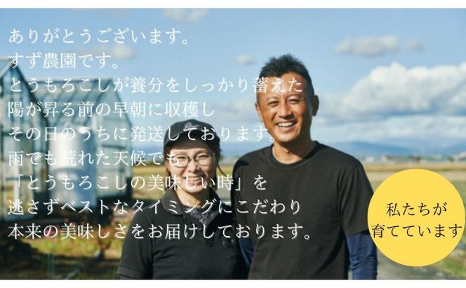 【先行予約】リピーター続出！とうもろこし【ドルチェ甘美】
