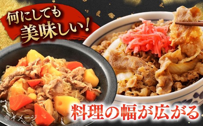 【2026年1月～順次発送】国産 黒毛和牛 熟成肉 切り落とし計1kg（500g×2パック）/ 小分け 国産牛 お肉 牛肉 切落し 冷凍 焼肉 すき焼き / 南島原市 / ふるさと企画[SBA093]