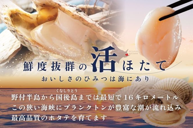 ジャンボ活ほたて 4kg相当 7～12枚入り＜朝どり新鮮出荷!＞【KN0000002】( ふるさと納税 ほたて 大玉 生食 活きほたて 生ホタテ 生帆立 生ホタテ貝柱 帆立貝柱 天然 冷蔵 刺身用 生 )
