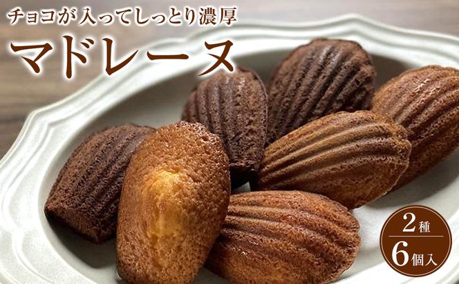 マドレーヌ　2種類6個入り　洋菓子店H(アッシュ） 272183_CP04
