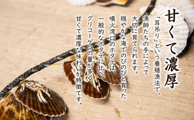 高村商店の ワケあり！ボイルベビーホタテ 3kg （1kg×3袋）加熱用 北海道産 ほたて ホタテ 帆立