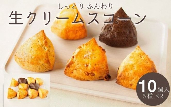 ＜喫茶とベーグルのお店ネコタ＞しっとり ケーキ のような 生クリーム スコーン 5種 10個セット《京都よりお届け 贈答 プレゼントスイーツ 焼き菓子 お菓子 焼菓子》 ※離島への配送不可