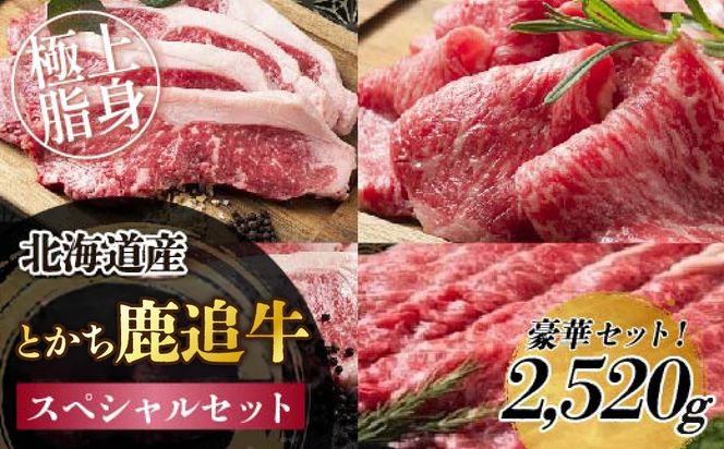 とかち鹿追牛　スペシャルセット 2,520g SKA018