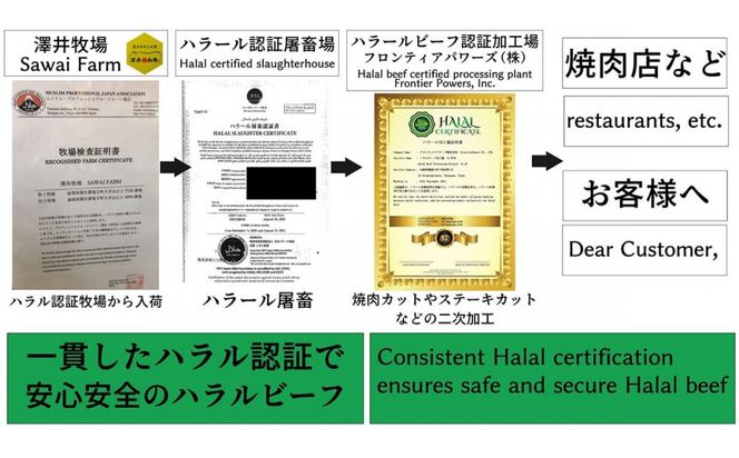 近江牛 スネ肉 500ｇ【 近江牛 ハラルビーフ スネ肉 澤井姫和牛 】 272230_AS034