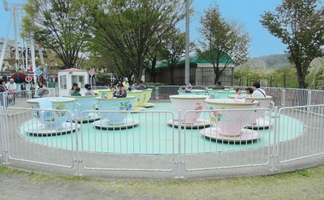 小諸市児童遊園地 乗り物券6枚綴り チケット 入場券 優待券 大型遊具 使用期限なし 懐古園 公園 動物園 遊ぶ 