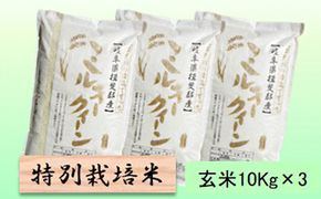 特別栽培米 【 令和8年産 】 玄米 30kg【 ミルキークイーン 】