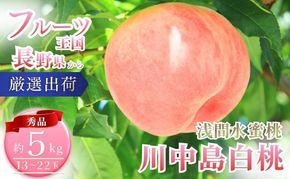 桃 先行予約 浅間水蜜桃 川中島白桃 約5kg 秀品 13～22玉 フルーツ 果物 白桃 甘い 冷蔵