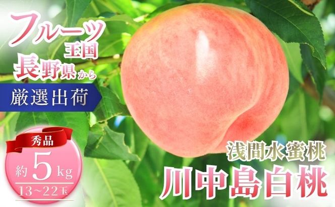 【2026年8月中旬～発送予定】桃 先行予約 浅間水蜜桃 川中島白桃 約5kg 秀品 13～22玉 贈答品 フルーツ 果物 白桃 甘い 冷蔵