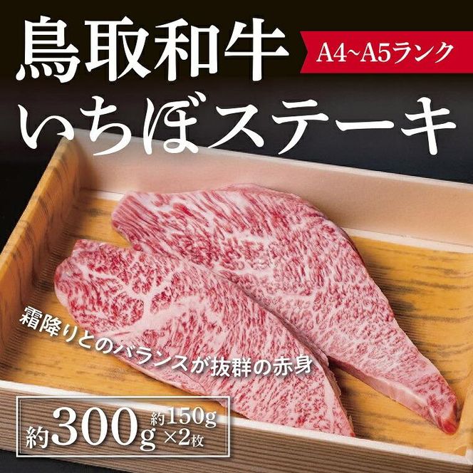 y挧sza ڃXe[L 300g ( 150g×2 ) 312011_CV010