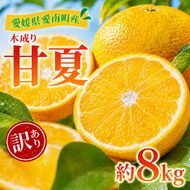 【先行予約：2027年3月～発送】訳あり 甘夏 8kg +傷み補償分1割程度増量 柑橘 かんきつ 蜜柑 愛媛 みかん 温州 みかん あまなつ 国産 こくさん mikan 果物 くだもの フルーツ デザート ジュース 果実 果肉 果汁 甘い ジューシー おいしい 濃厚 産地 直送 産直 特産品 愛媛県 愛南町 愛南町青果市場 