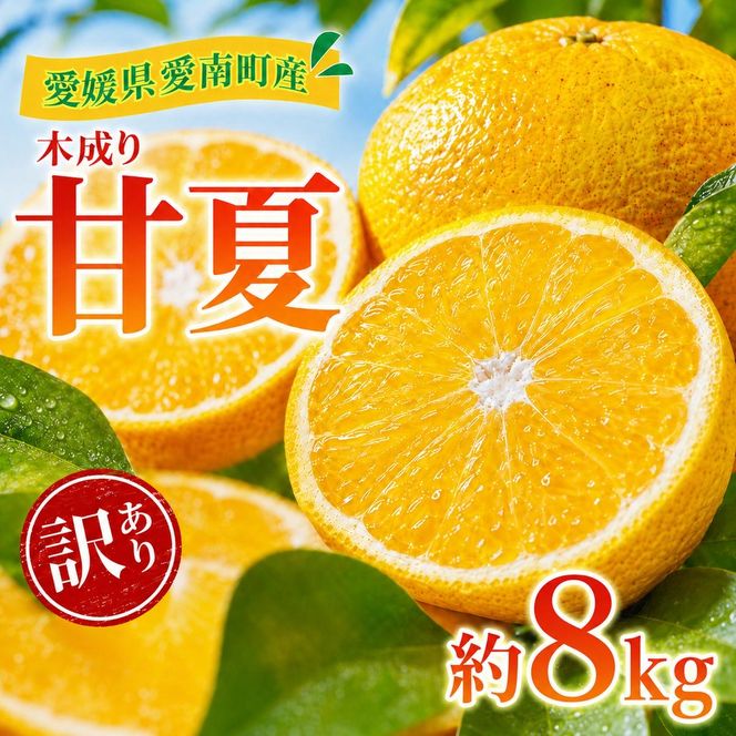 【先行予約：2027年3月～発送】訳あり 甘夏 8kg +傷み補償分1割程度増量 柑橘 かんきつ 蜜柑 愛媛 みかん 温州 みかん あまなつ 国産 こくさん mikan 果物 くだもの フルーツ デザート ジュース 果実 果肉 果汁 甘い ジューシー おいしい 濃厚 産地 直送 産直 特産品 愛媛県 愛南町 愛南町青果市場 