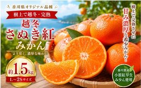 越冬さぬき紅みかん  約1.5kg  みかん フルーツ 果物 香川県 土庄町