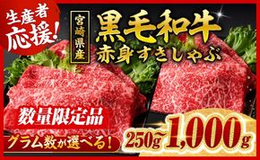 ※発送月・内容量が選べる※ 生産者応援！宮崎県産黒毛和牛赤身すきしゃぶ250g～1000g 【 数量限定 牛肉 牛 肉 5等級 すき焼き すきやき しゃぶしゃぶ スライス 】 [ C00628-29 C00630-31 C00632-33 C00681 ]