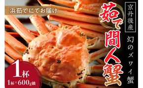 【幻のズワイ蟹】　　京丹後産　茹で間人蟹(中）　鮮度抜群、浜茹でにてお届け！！ 600g級×1杯　YK00090