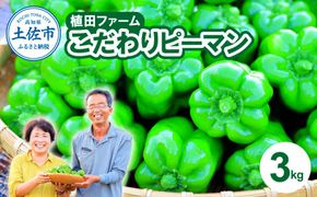 高知県産 植田ファームのこだわりピーマン 3kg ピーマン 甘い 新鮮野菜 サラダ 野菜 おかず 詰め合わせ 絶品 お取り寄せ 美味しい 料理 【株式会社　植田ファーム】 [BQAT003]