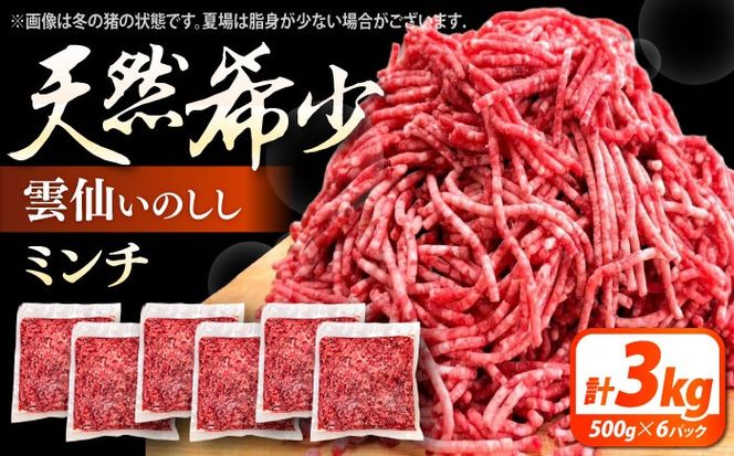 猪肉 ミンチ 3kg 雲仙いのしし / ひき肉 肉 イノシシ ジビエ いのしし ハンバーグ / 南島原市 / もりのめぐみ[SDB014]