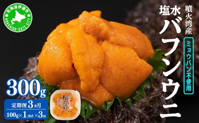 【定期便3カ月】北海道 噴火湾産 塩水 バフンウニ 100g 1パック 《アフター保証付き》うに ウニ 雲丹 海鮮 海の幸 魚介類 ウニ丼 お寿司 濃厚 無添加 産地直送 産直 お取り寄せ 山村水産 送料無料 【55250992】