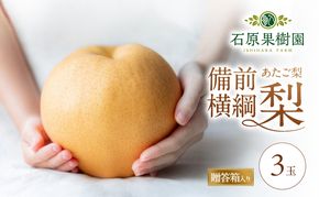 梨 2026年 備前横綱梨（あたご梨）3玉（1玉1～1.4kg）贈答箱【11月下旬～12月中旬頃発送】 ナシ なし 岡山県産 国産 フルーツ 果物 ギフト 石原果樹園 繊細な味 ジャンボ梨 