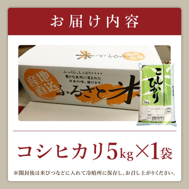 R7年産取手市産コシヒカリ 精米5kg|お米 米 こしひかり コシヒカリ 白米 茨城県 取手市（BS001）