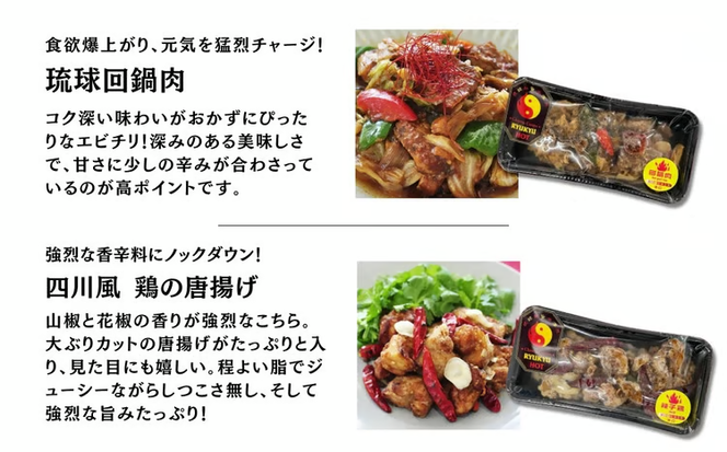 普龍通冷凍本格旨辛中華料理（琉球ホット：冷凍品）6個入り