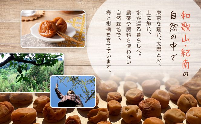ひとみずの練り梅 200g 自然栽培で育てた紀州南高梅使用 ※栽培期間中、農薬・肥料・堆肥不使用 304018_EW05