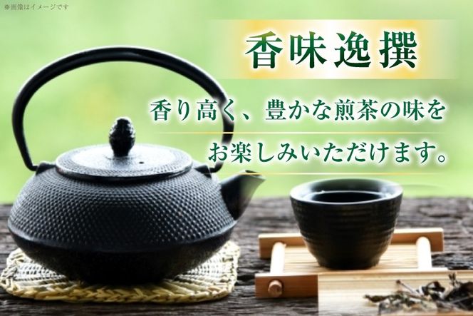 お茶 八女茶 煎茶 100g×2 セット [木村食品 福岡県 宇美町 um40beg040045] お茶の葉 茶 お茶の葉 茶葉 お茶っぱ