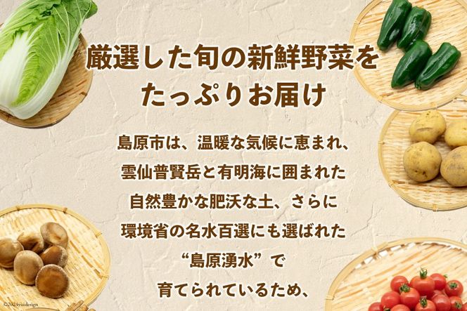 AI023【10～5月限定出荷】こむたの旬の野菜つめあわせ(13～15品目)おまかせ L セット 【 野菜 やさい 旬 種類 人気 オススメ 新鮮 詰め合わせ こむた 小無田 青果 長崎県 島原市 】