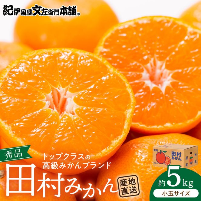 V7452_【2026年先行予約】田村みかん／5kg秀品【小玉サイズ】