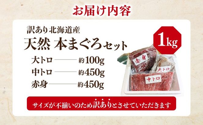 北海道産本マグロ（大トロ・中トロ・赤身）訳ありセット 1kg【ogm-025】