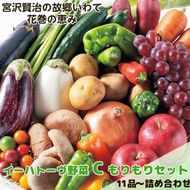 イーハトーヴ野菜C もりもりセット 11品～ 詰め合わせ 【1207】