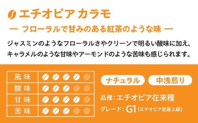 【自家焙煎】フルーティな味わい コーヒー 2種セット 糸島市 / 楽峰珈琲ロースター / コーヒー / セット[ALR001]