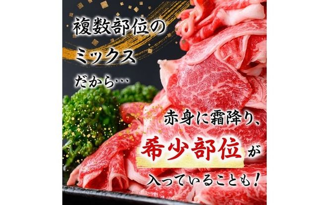 【緊急支援品】【訳あり】黒毛和牛万能切り落とし肉 計500g(500g×1P) p95-001