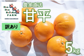 【先行予約】【訳あり】甘平 約5kg | 柑橘 みかん 果物 フルーツ 愛媛県産 農家直送 　※離島への配送不可　※2025年2月上旬より順次発送予定