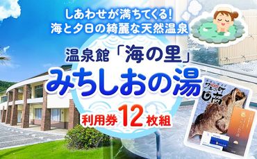 [温泉館「海の里」みちしおの湯]利用券 12枚組 日高町役場[30日以内に出荷予定(土日祝除く)]和歌山県 日高町 温泉 チケット 天然温泉 家族温泉 露天風呂---iwsh_hdyumimy_30d_23_20000_12p---