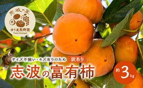 2026年12月発送　訳あり 規格外品　志波の富有柿 約3kg 柿 ※配送不可：離島