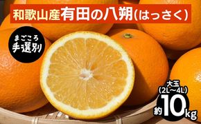 【先行予約】 有田の八朔（はっさく） 約10kg 大玉 2L～4L サイズ混合 和歌山県産