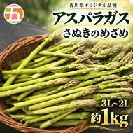 アスパラガス さぬきのめざめ 3Lサイズ 2Lサイズ 太目 約100g × 10束 計約1kg 香川県産 グリーンアスパラガス アスパラ 香川県オリジナル品種 柔らかい シャキシャキ 爽やかな甘み 野菜 香川県 東かがわ市 46311674