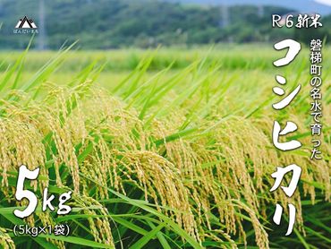 【予約受付】【令和6年産米】コシヒカリ5kg　磐梯町の名水で育ったコシヒカリ