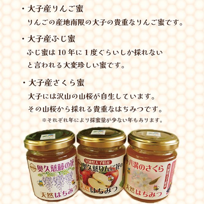 【2026年10月～2027年4月発送】天然はちみつ 味くらべ3種セット 120g×3本 【藤の花・りんご花・さくら】|茨城県 大子町 奥久慈 ハチミツ 蜂蜜 プレゼント 包装 （BG001）