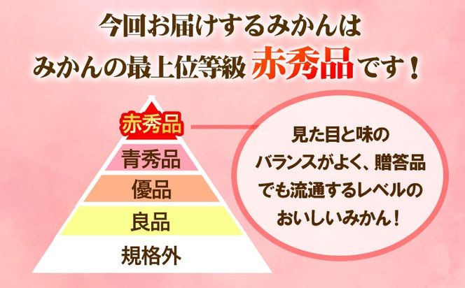 【先行予約】赤秀品 紀州和歌山 ハウス みかん 約2.5kg 株式会社魚鶴商店《2026年6月下旬頃～7月下旬頃出荷》和歌山県 日高川町 みかん ミカン 蜜柑 フルーツ 柑橘---wshg_uot145_6g7g_25_20000_2500g---