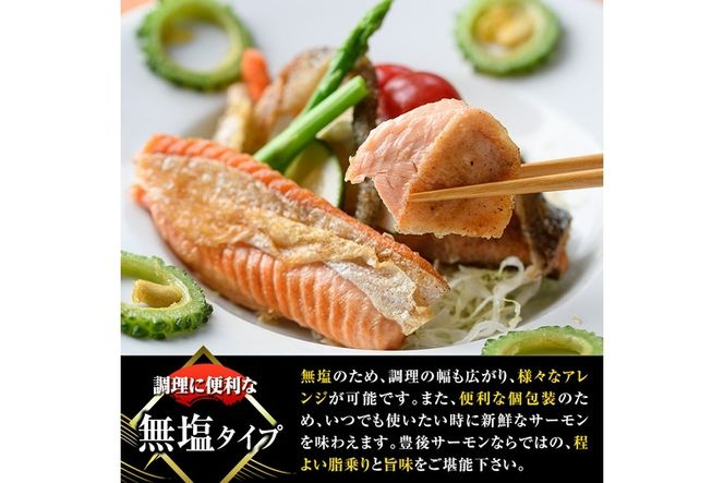 大分豊後サーモン 切り身(計6切) 魚 鮮魚 切身 無塩 冷凍 佐伯 養殖 国産 個包装 大分県 佐伯市【EA28】【(株)トーワ】