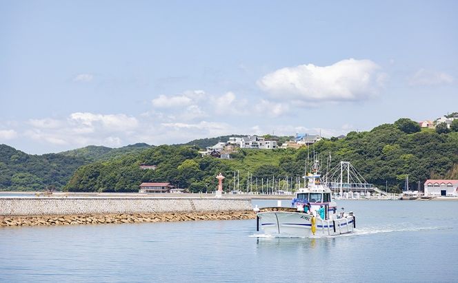 ちりめんの旨みをずっと感じられるふりかけ ちり旨ふりかけ 梅小町 3個セット【ちりめん ちりめんじゃこ　あみえび アミエビ 牛窓ちりめん 梅 ふりかけ カリカリ おにぎり 混ぜご飯 ご飯のお供 岡山 瀬戸内市 牛窓 服部水産 】