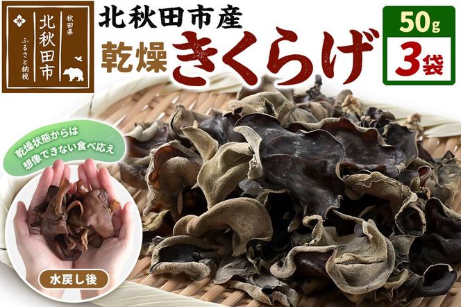 国産 乾燥きくらげ 150g 天日干し 秋田県北秋田市産 [きくらげ 木耳 キクラゲ 乾燥 手のひらサイズ 秋田県 北秋田市]|grmy-020301