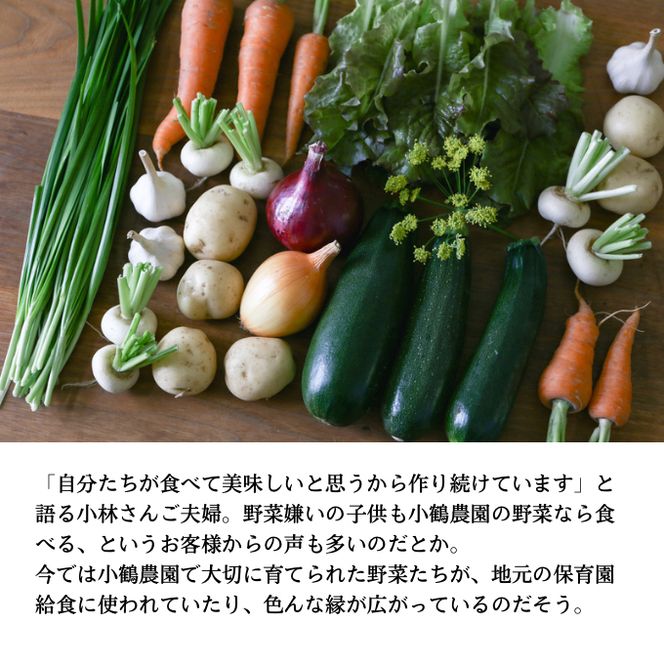 小鶴農園 季節のお野菜7～9品目セット（農薬・化学肥料不使用）【配達不可：北海道・沖縄・離島】 詰合せ 