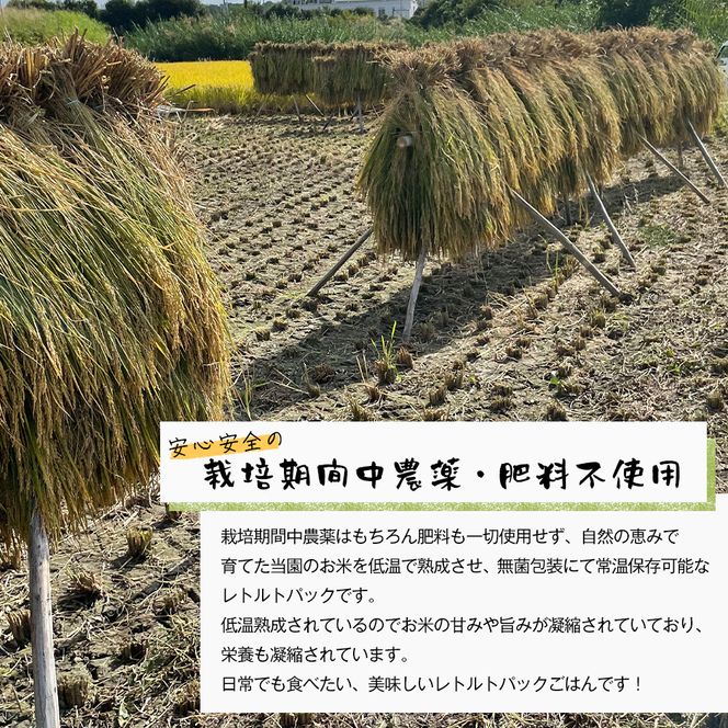 レトルトごはん（五穀玄米） 10パックセット 化学調味料無添加・無菌