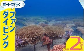 ボートで行く！ファンダイビング（2Dive）