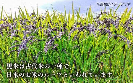 十穀米 糸島市 / Carna [ALA055] 国産 お試し 送料無料 古代米 玄米 もち米 雑穀